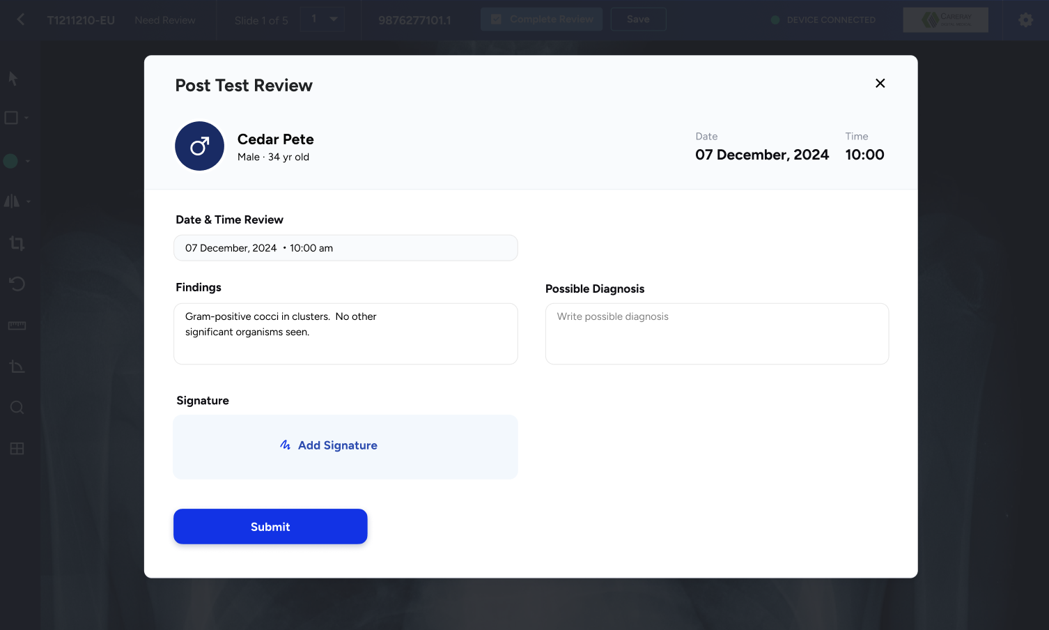 Report form interface (placeholder)